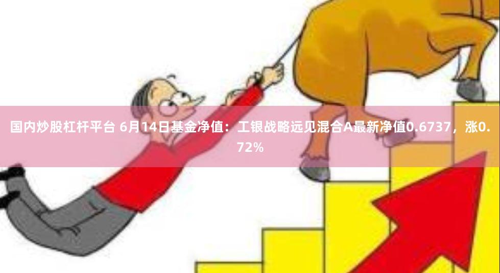 国内炒股杠杆平台 6月14日基金净值：工银战略远见混合A最新净值0.6737，涨0.72%