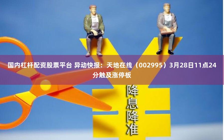 国内杠杆配资股票平台 异动快报：天地在线（002995）3月28日11点24分触及涨停板