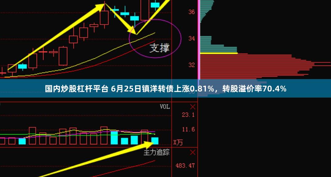 国内炒股杠杆平台 6月25日镇洋转债上涨0.81%，转股溢价率70.4%