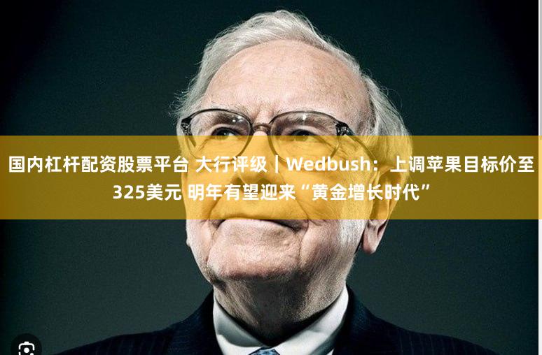 国内杠杆配资股票平台 大行评级｜Wedbush：上调苹果目标价至325美元 明年有望迎来“黄金增长时代”