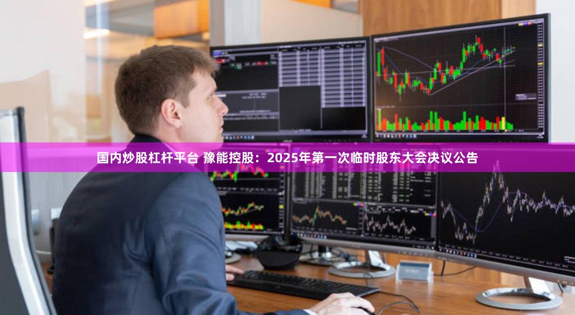 国内炒股杠杆平台 豫能控股：2025年第一次临时股东大会决议公告