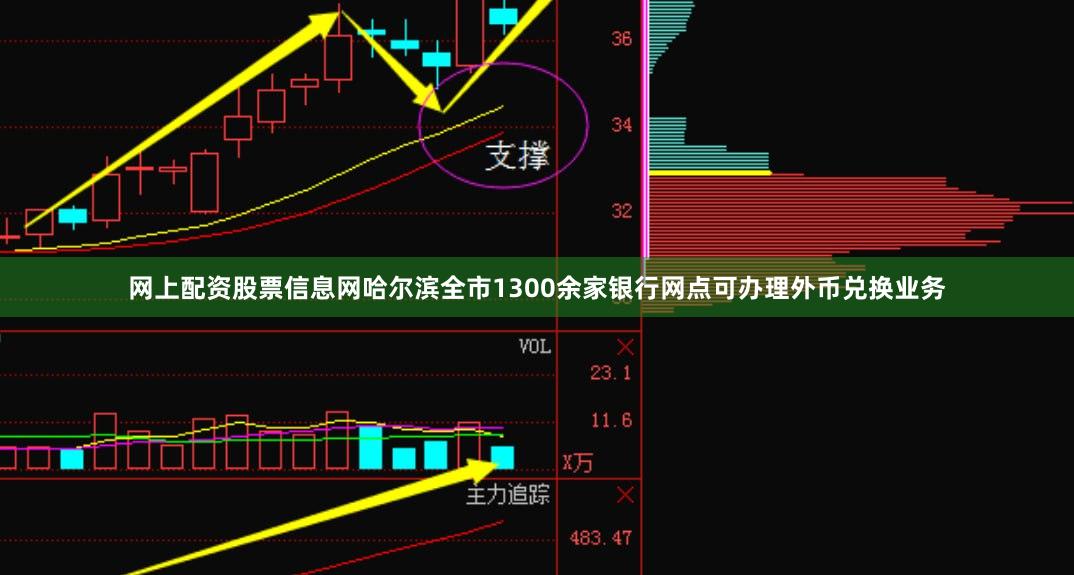 网上配资股票信息网哈尔滨全市1300余家银行网点可办理外币兑换业务