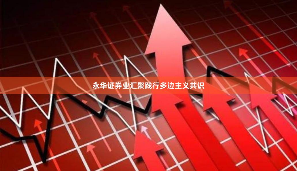 永华证券业汇聚践行多边主义共识